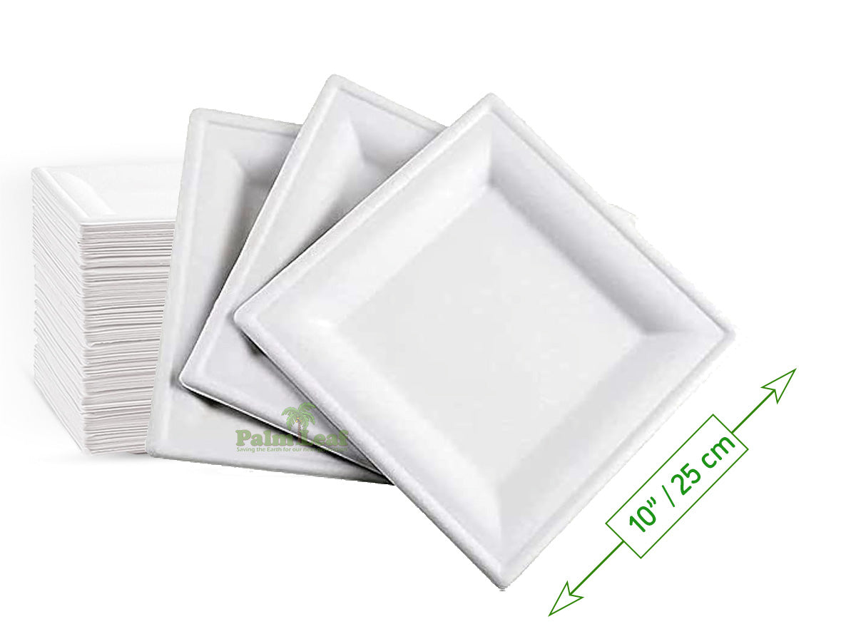 10" Square Plate (Large / Bagasse) - Sugarcane fibre