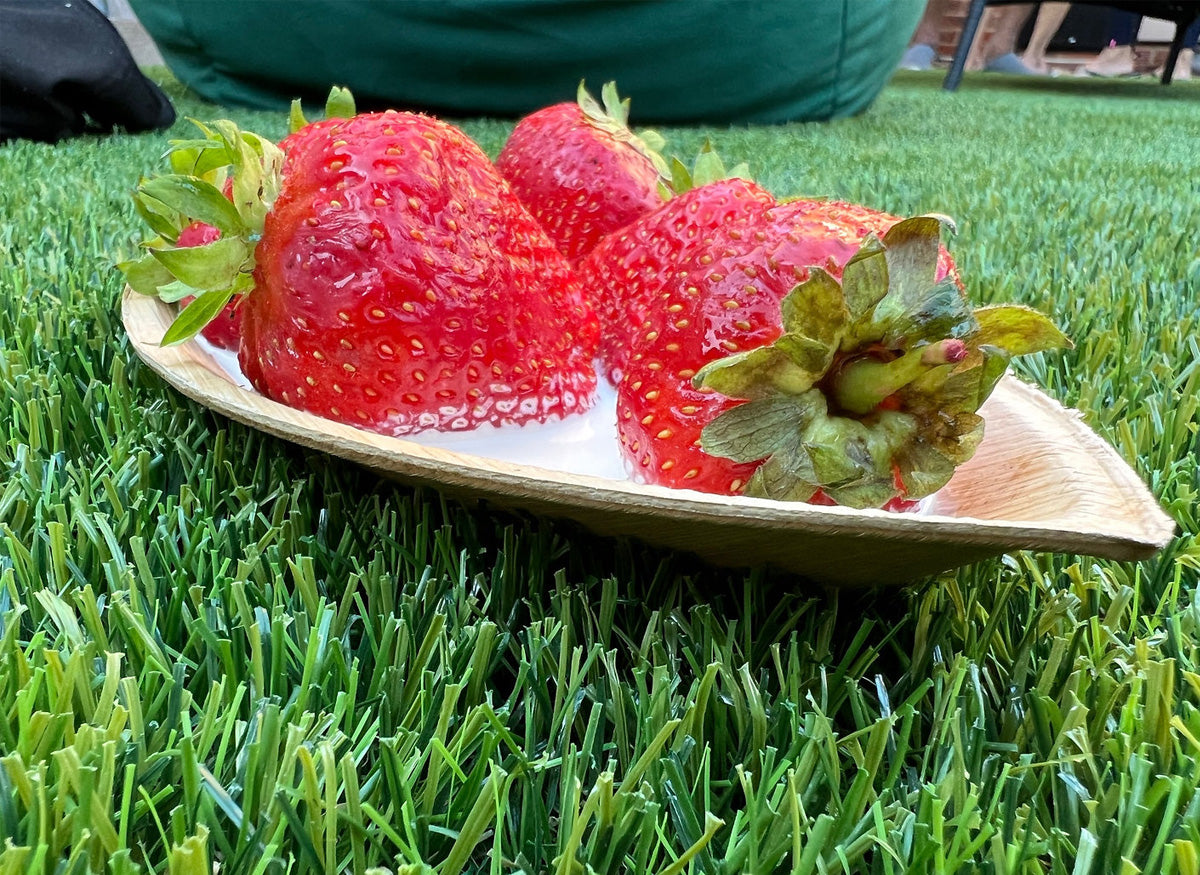 10" Boat Serving Platter (Medium, Palm Leaf)