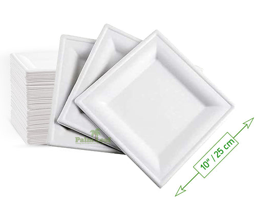 10" Square Plate (Large / Bagasse) - Sugarcane fibre