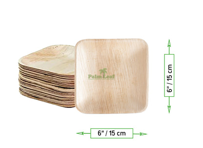6" Square Plate (Small, Palm Leaf)