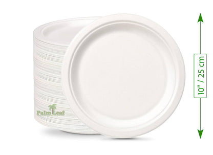 10" Round (25 cm, Large, Bagasse)