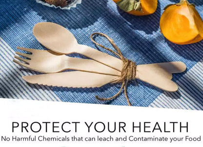 Disposable Cutlery (Individual Boxes)