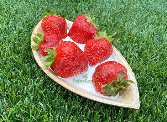 10" Boat Serving Platter (Medium, Palm Leaf)